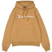 Sweat-shirt Champion Hooded sweatshirt