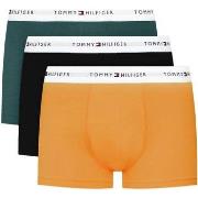 Boxers Tommy Hilfiger UM0UM02761