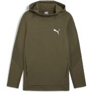 Sweat-shirt Puma EVOSTRIPE Hoodie DK