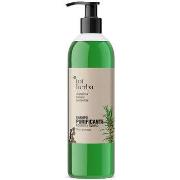 Shampooings Tot Herba Shampooing Purifiant Romarin Et Genévrier