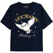 T-shirt enfant Harry Potter TV2200