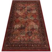 Tapis Rugsx Tapis en laine KASHQAI 4309 300 oriental, 240x340 cm