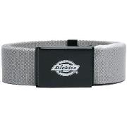 Ceinture Dickies ORCUTT DK0A4X7E-D06 ULTIMATE GREY