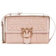 Sac Bandouliere Pinko 100941 A1XH