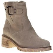 Bottines Qootum 15920