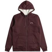 Polaire Billabong Arch Sherpa