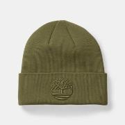 Chapeau Timberland TB0A2PJRA58