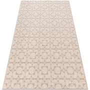 Tapis Rugsx Tapis Laine ANGEL 7887 / 52022 Géométrique 120x170 cm