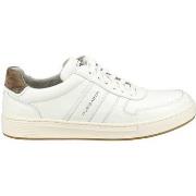 Baskets basses Pius Gabor Sneaker