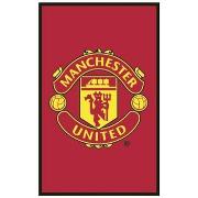 Tapis Manchester United Fc BS1126