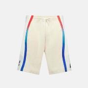 Short Le Coq Sportif Short Homme