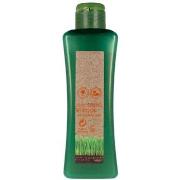 Shampooings Salerm Biokera Natura Treated Hair Shampoo