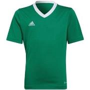 T-shirt enfant adidas Entrada 22