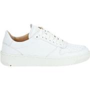 Baskets basses Lloyd Sneaker