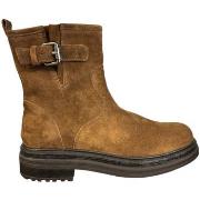 Bottines Aliwell - Bottines MILO Velours Camel