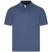 Polo Tommy Hilfiger 167744VTAH24