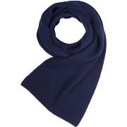 Echarpe Pal Zileri Foulard