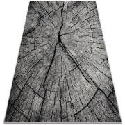 Tapis Rugsx Tapis SILVER TRONKO Arbre Bois - gris 240x340 cm