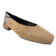 Chaussures Bienve Chaussure femme s3416 taupe