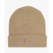 Casquette Dickies DK0A4X7K0IP1