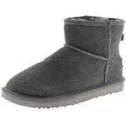 Bottes Oog -