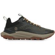 Baskets Timberland Motion Access Low Lace Sneaker