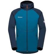 Pull Mammut -