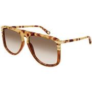 Lunettes de soleil Chloe CH0104S Lunettes de soleil, Havana/Marron, 62...