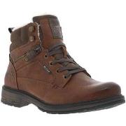 Boots Mustang 17550CHAH24