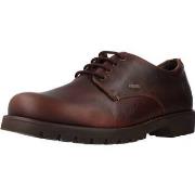 Derbies Panama Jack JACKSON GTX C1