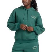 Sweat-shirt New Balance GRAPHIC FLEECE HOODIE