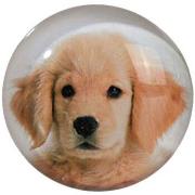 Tableaux, toiles Out Of The Blue Petit magnet en verre rond Chien 3.5 ...