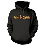 Sweat-shirt Alice In Chains Dirt