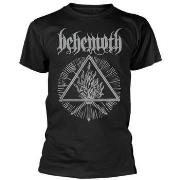 T-shirt Behemoth Furor Divinus