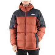 Blouson The North Face NF0A4M9LWEW