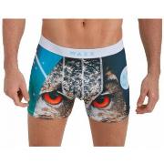 Boxers Waxx Boxer OWL