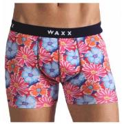 Boxers Waxx Boxer MOOREA