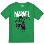 T-shirt enfant Hulk TV2531