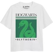 T-shirt enfant Harry Potter TV1960