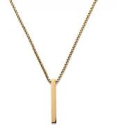 Collier Lucleon Dhruv