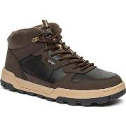 Baskets basses Crosby leisure trainers brown