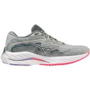 Chaussures Mizuno Wave 27