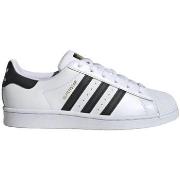 Baskets adidas Superstar