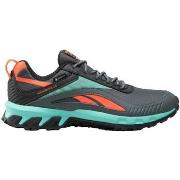 Baskets Reebok Sport Ridgerider 6 Gtx