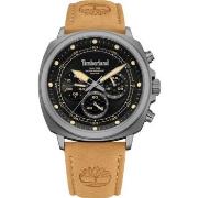 Montre Timberland Montre Homme TDWGF0042002 Noir