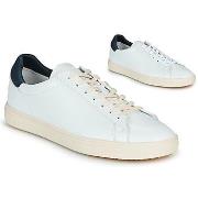 Baskets basses Clae BRADLEY