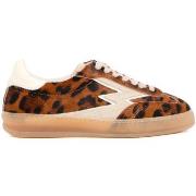 Baskets Moaconcept MG635 CLUB LEOPARD