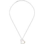 Collier Cleor Collier en argent 925/1000