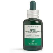 Soins ciblés The Body Shop Edelweiss Daily Serum Concentrate