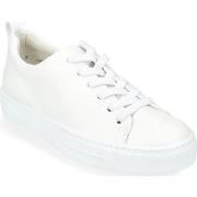 Baskets basses Paul Green Sneaker